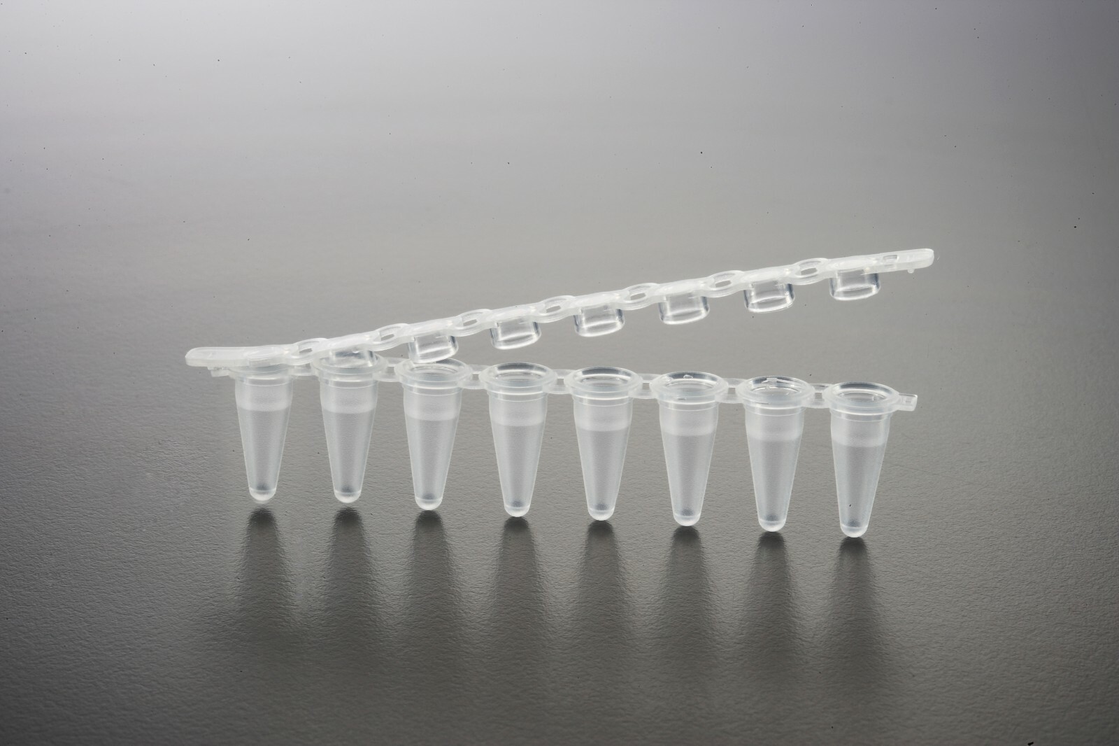 8-Tube PCR Strip Tubes for All PCR Machines (120/box, caps included)