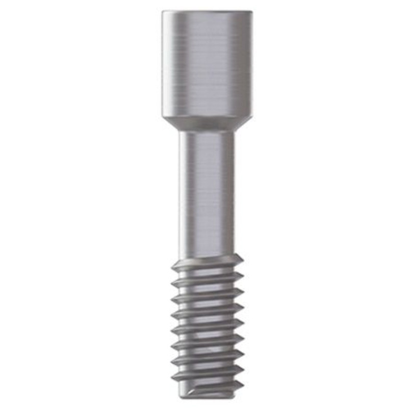 10x Straight Plastic Castable UCLA Prosthetic Int Hex 2.42mm Connection Dental