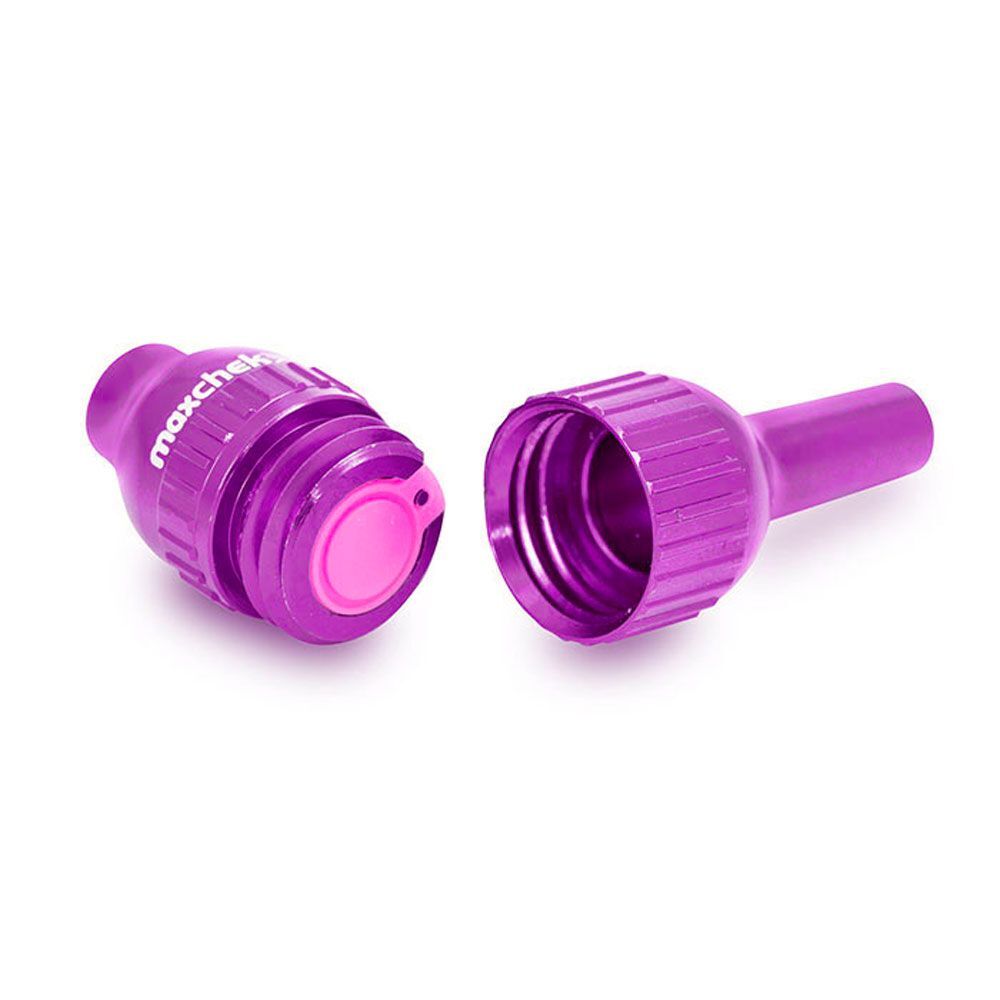Maxchek Backflow Prevention Valve, Purple
