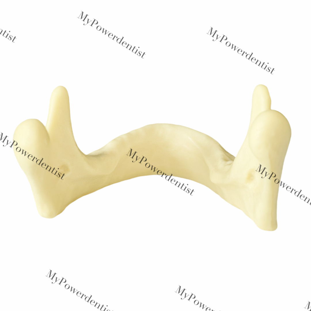 Dental Resin Alveolar Jaw Bone Replica Study Model Embed GBR Practice Blocks