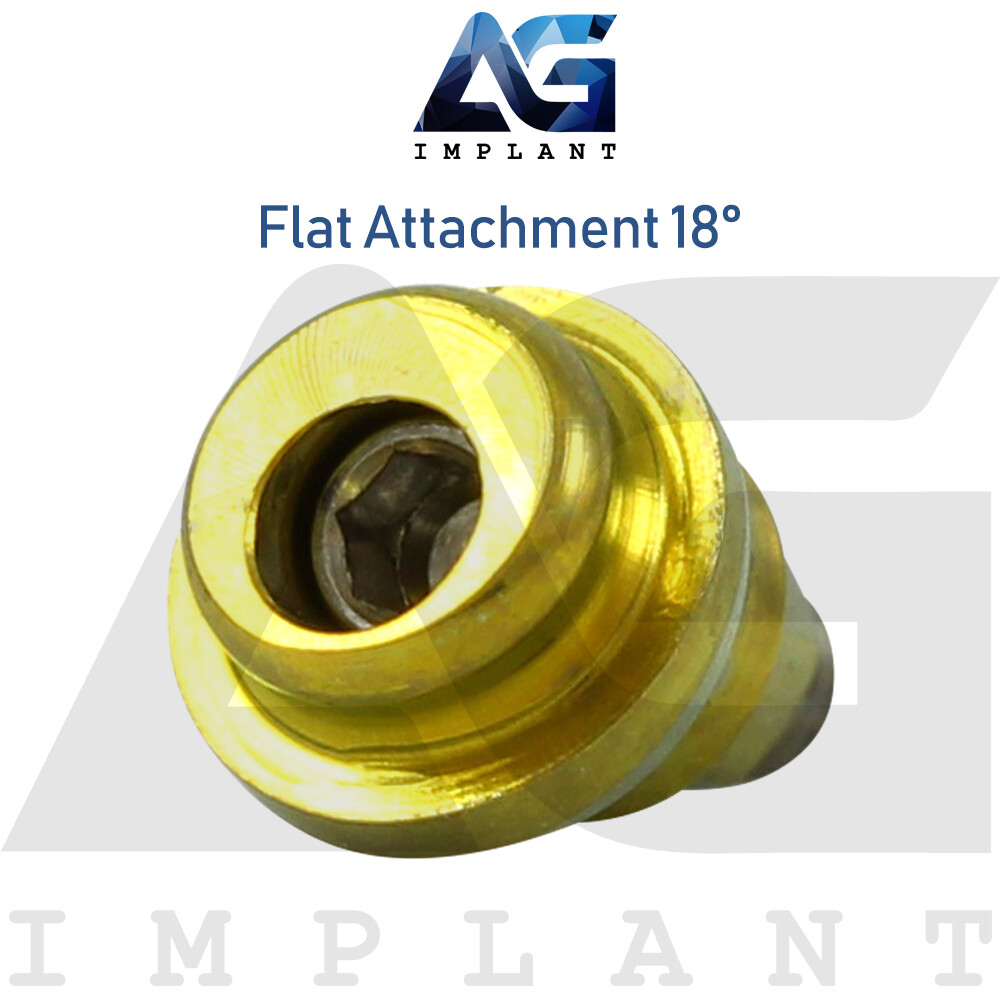 Angled 18° Flat Attachment Standard Silicone Set Titanium Int Hex 2.42mm
