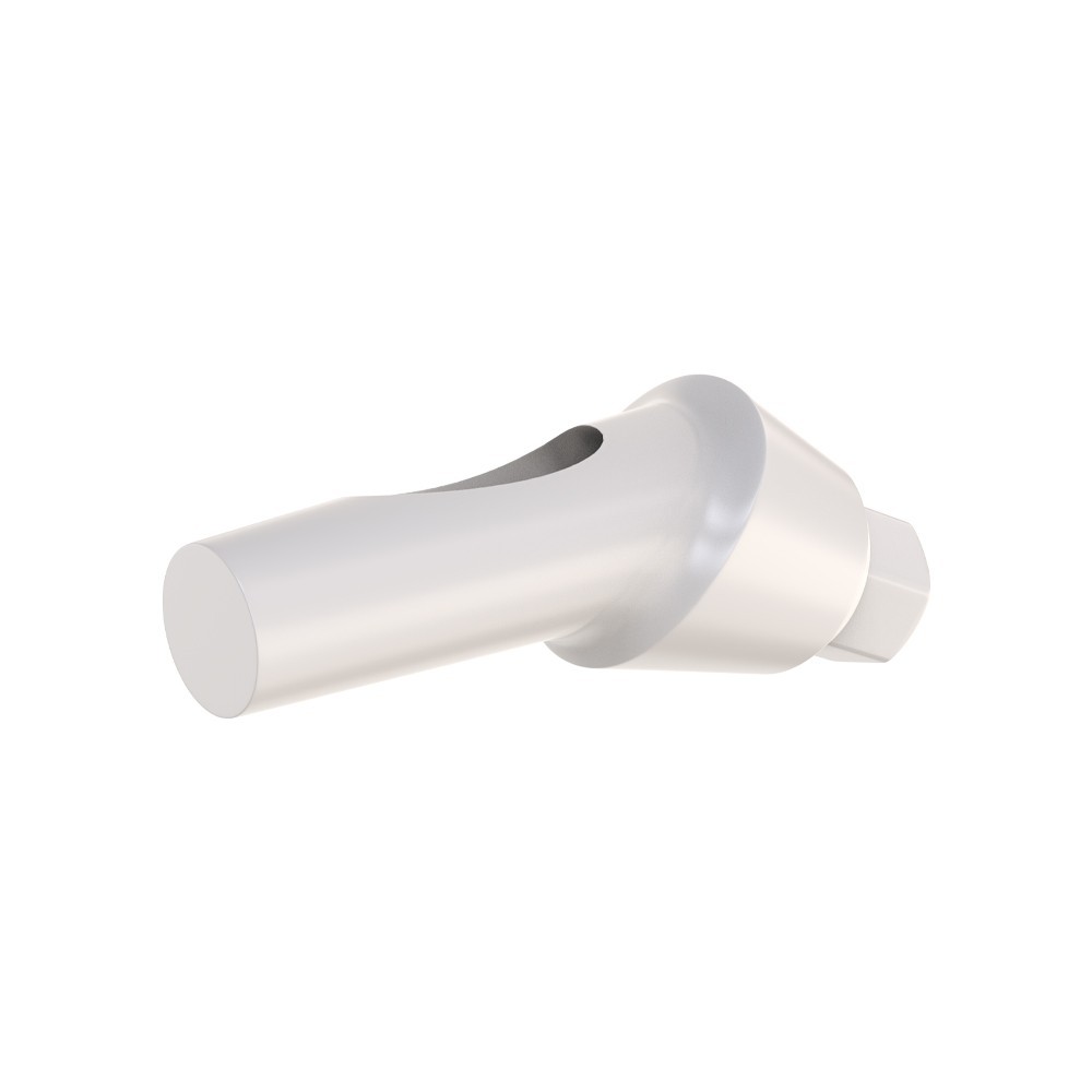 10pcs DSl Angulated Abutments Anatomic Peek With Screws 25° Internal Hex