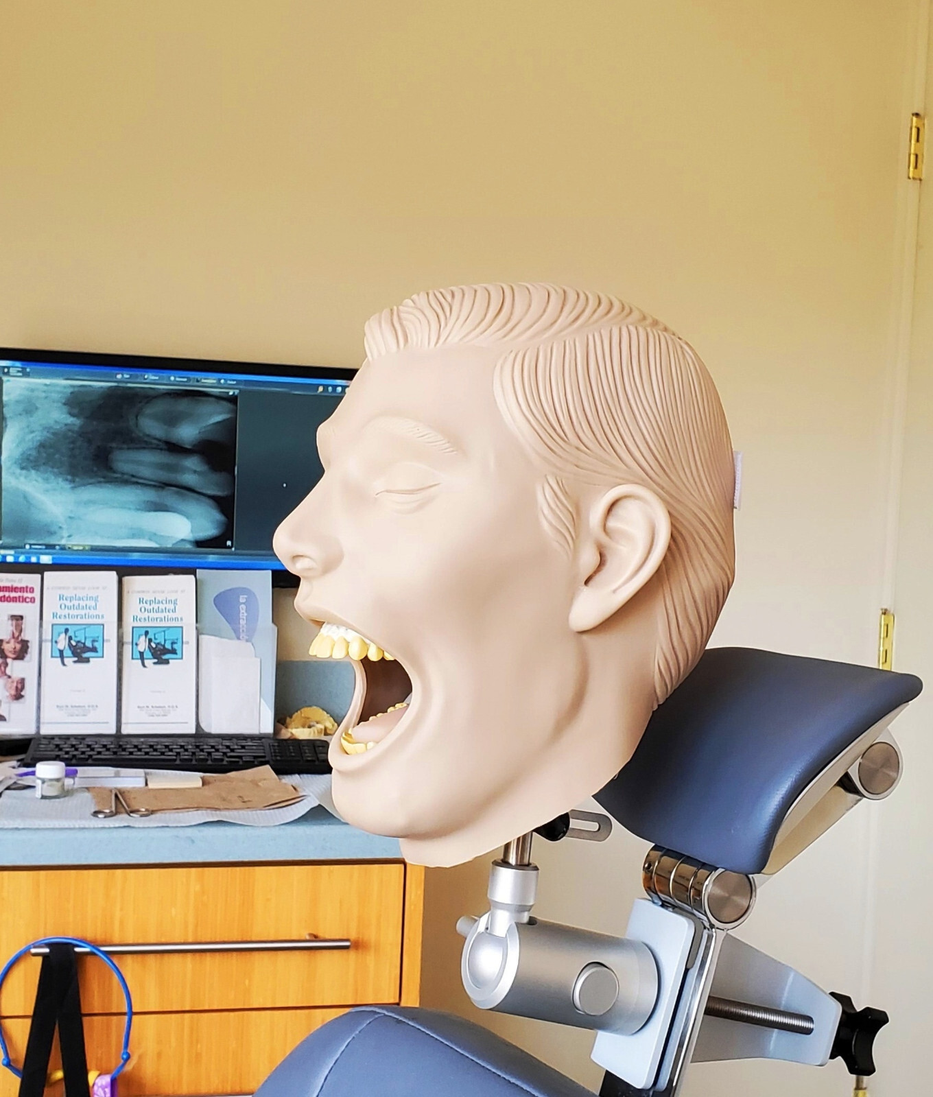 Dental Teeth X-Ray MANIKIN Practice Exam Adult Simulator Training Phantom
