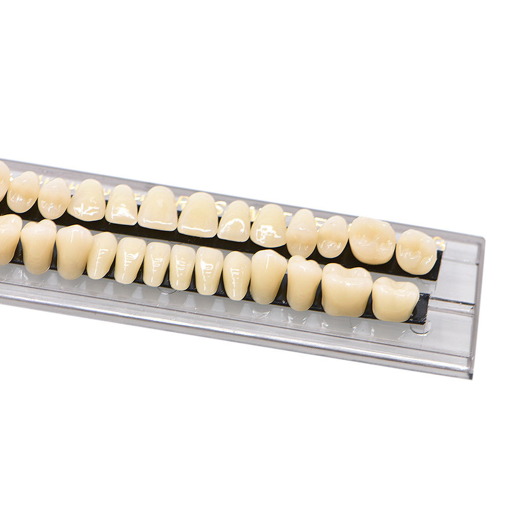Dental Acrylic Resin Denture False Teeth Temporary A2 A3 Shade 22# 23# 28pcs/set