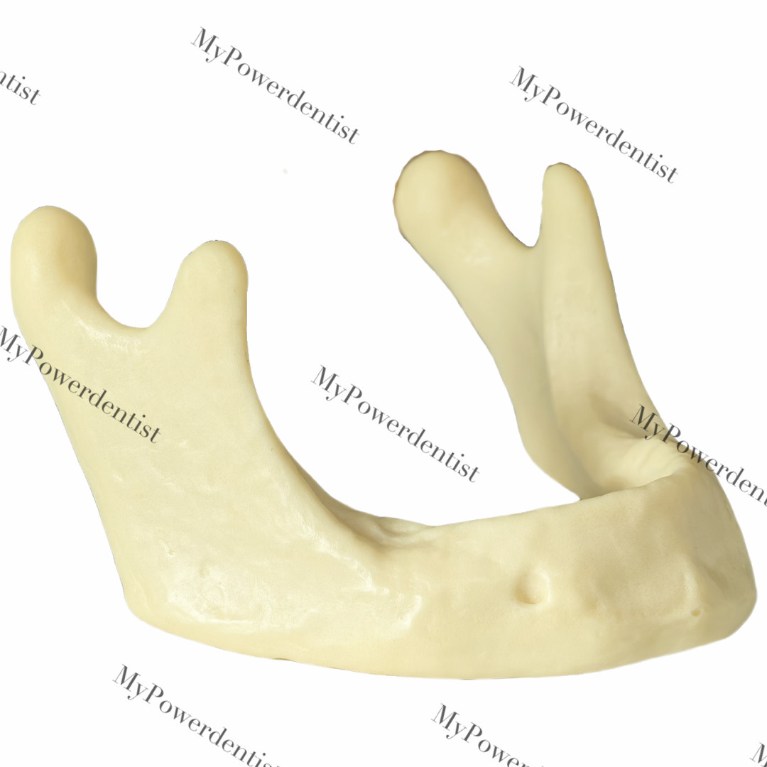 Dental Embed Mandible Jaw Model for Basic Drilling Insertion Practice M2022