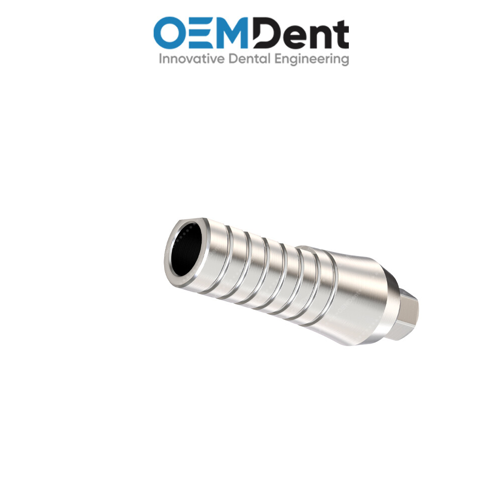 Straight Prosthetic Standard Platform – Paltop® Int Hex 2.42mm Compatible