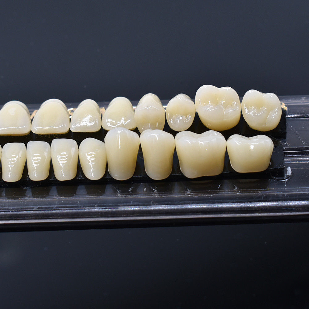 Dental Acrylic Resin Denture False Teeth Temporary A2 A3 Shade 22# 23# 28pcs/set