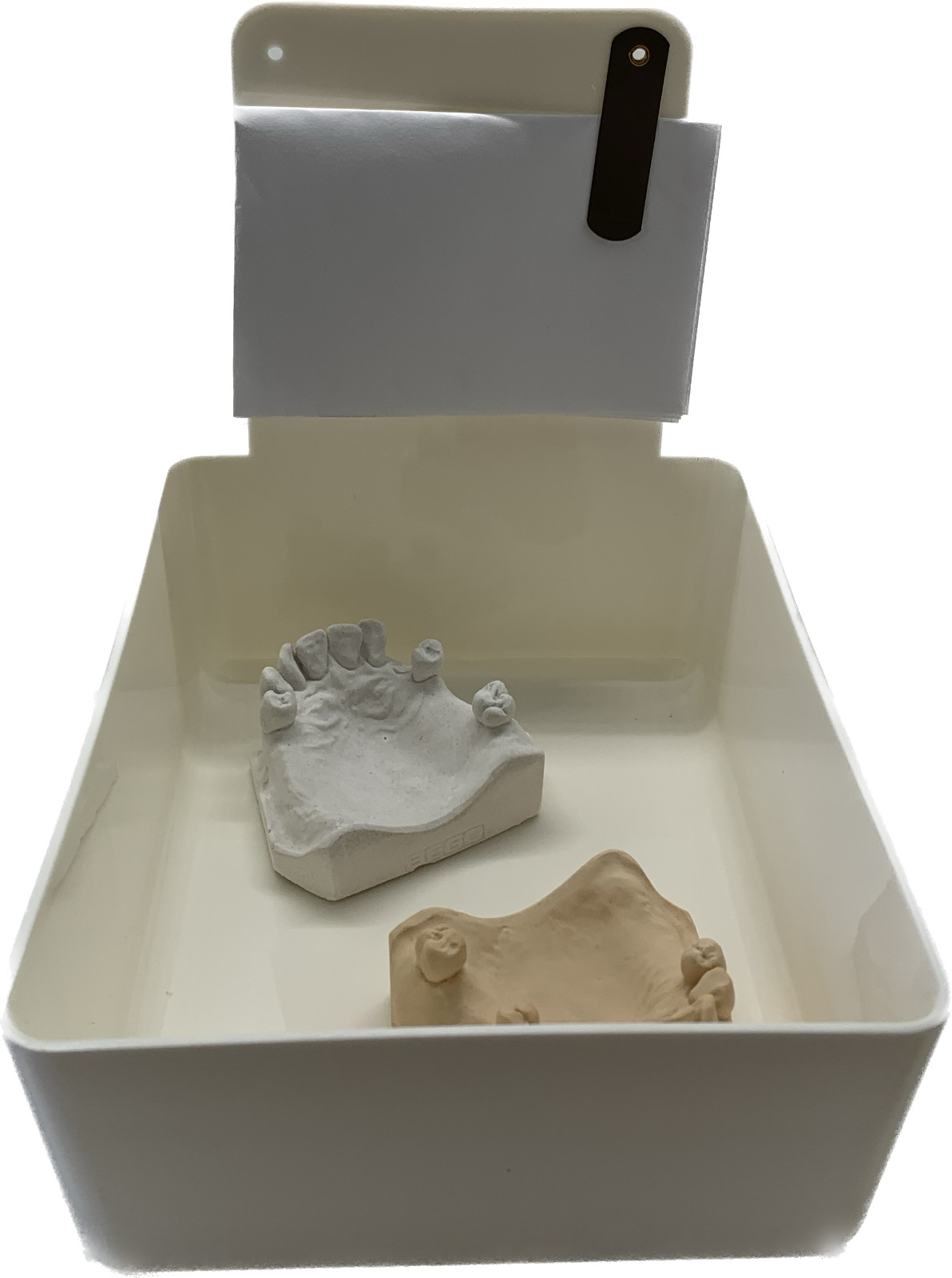 Dental Lab Pan White 12/box High Quality Color Coded organization
