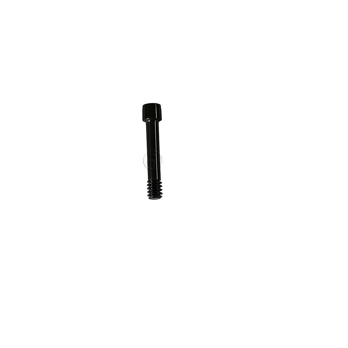 20 pcs Angled screw for Mu Angled abutment fit to Osstem platform Mini Regular