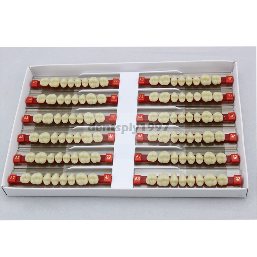 12sets Dental Acrylic Resin Denture Two Layer Posterior False Teeth Upper/Lower