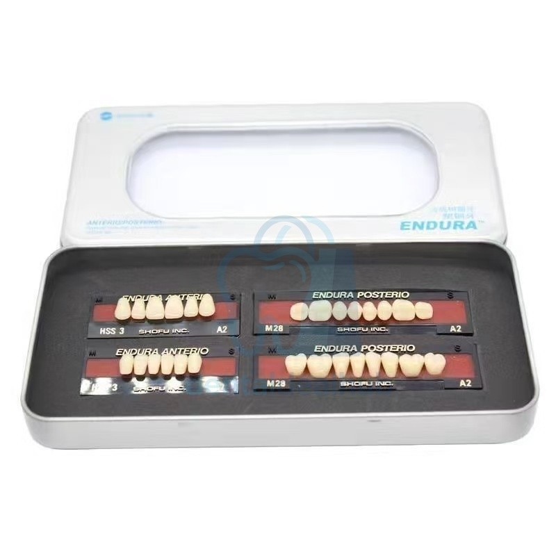 Shofu Endura Composite Resin Teeth Set – Anterior & Posterior Denture Teeth Kit