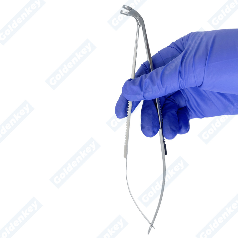 Dental Matrix Forceps Holder Clamp Matrices Tweezer Matrix Bands Placing Plier