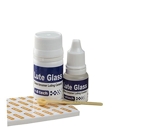 D Tech Lute Glass Dental Glass Ionomer Luting Cement GIC Crown Bridge Bonding