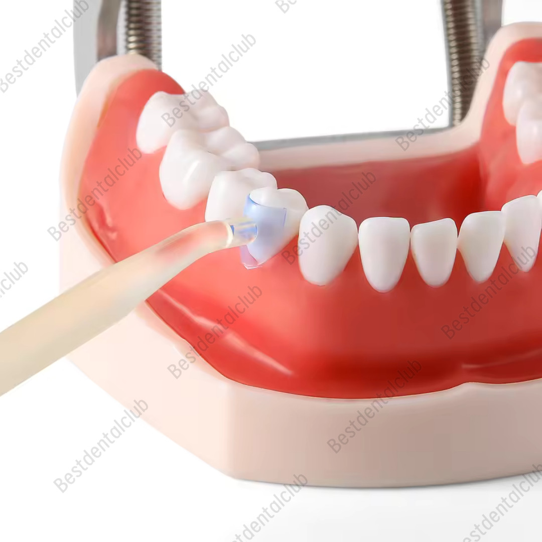 Dental Blue Transparent Cervical Matrices Composite Gingival Retractor Matrix