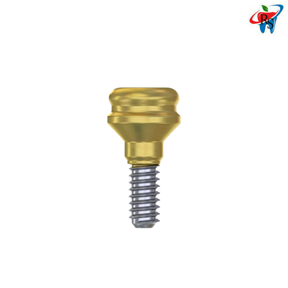 10pcs Dental Prosthetic Straight Loc In Attachment Abutment Internal Hex 2.42mm