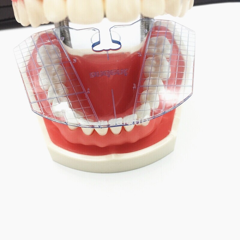 10Box Dental Guide Template Plate For Complete Denture False Teeth Arrangement