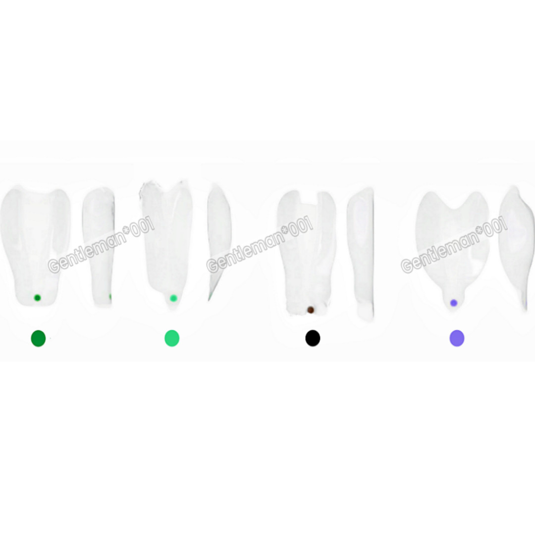 SIGNET Dental Widening Front Tranparent Clear Matrix BT Matrices Fits BioClear