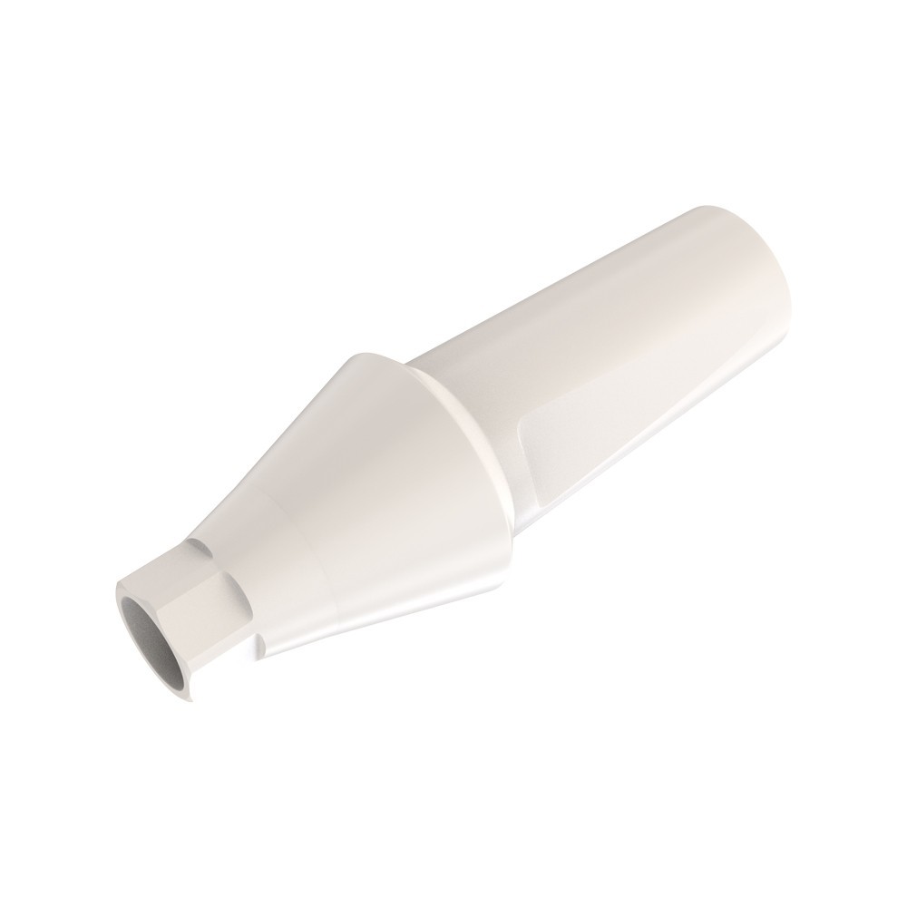 1pcs DSl Straight Abutment Anatomic Peek Conical Connection NP Dental Lab