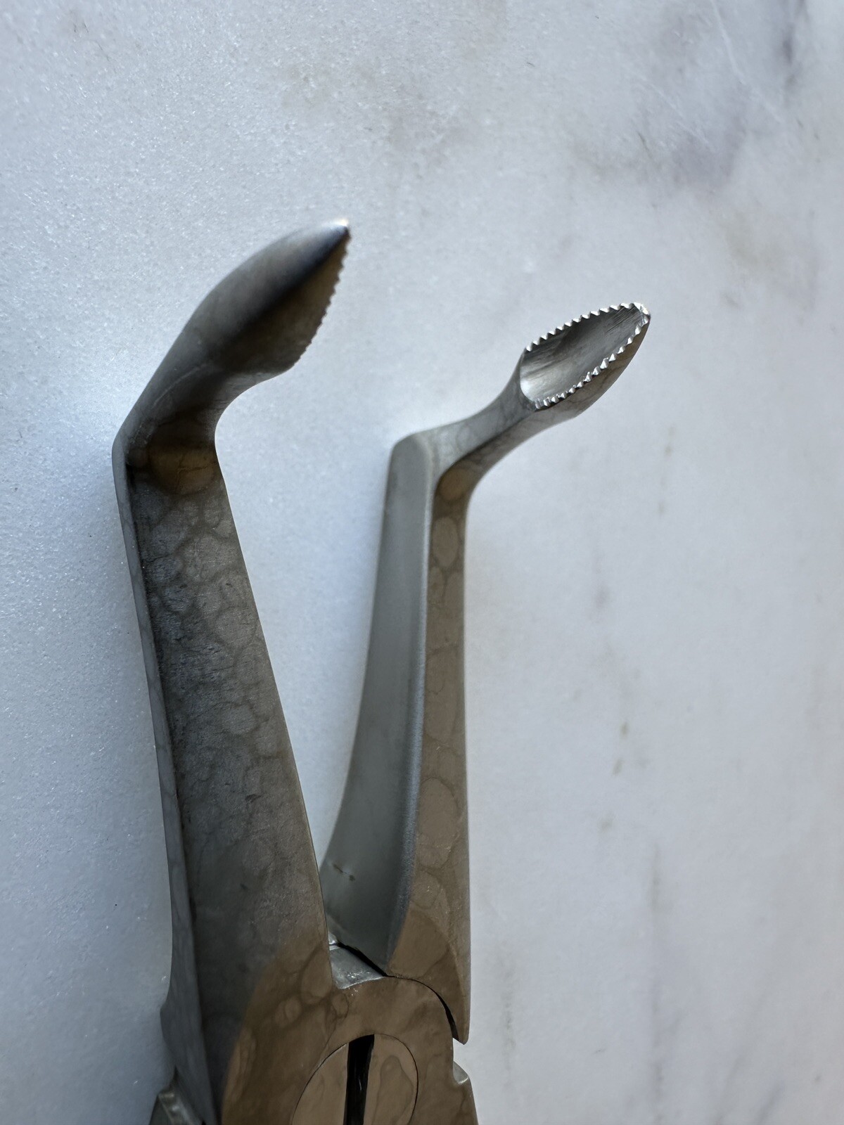 🦷 A-Titan LOWER ROOT X-TRAC FORCEPS (Dental) #4515 Serrated