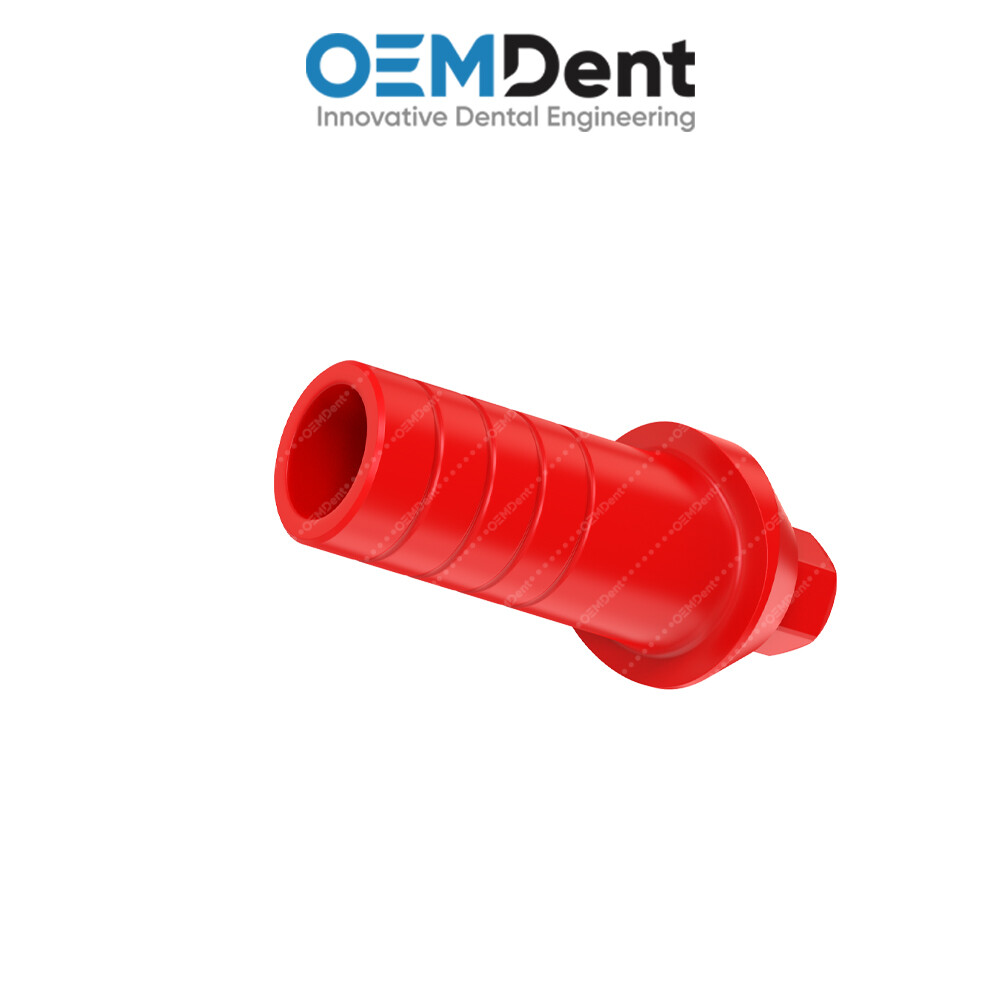 Straight Anatomic Fully Castable Prosthetic – Paltop® Int Hex 2.42mm Compatible