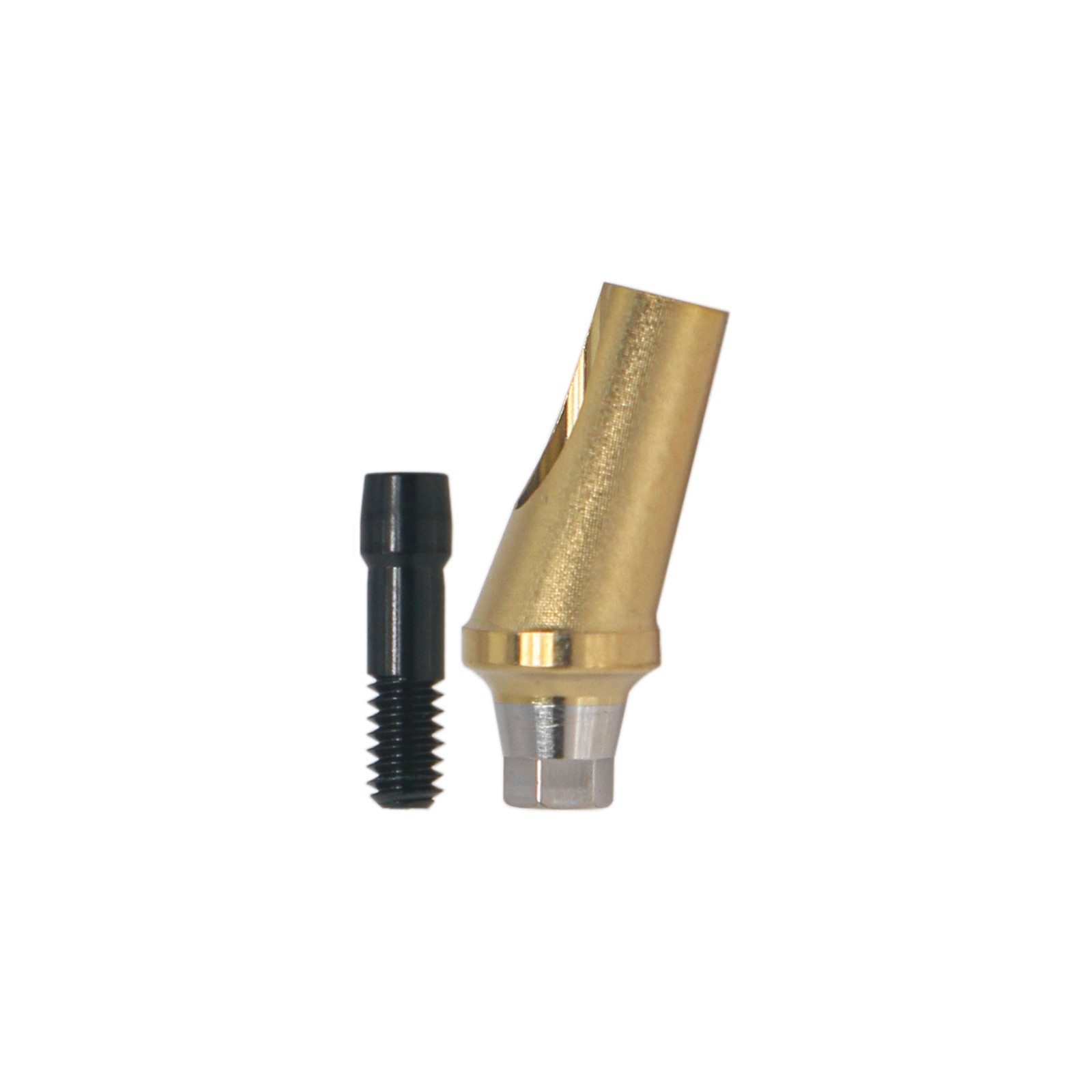 Regular Platform Ø5.0mm 17° Angled Abutments Dental Osstem GS Implant Titanium
