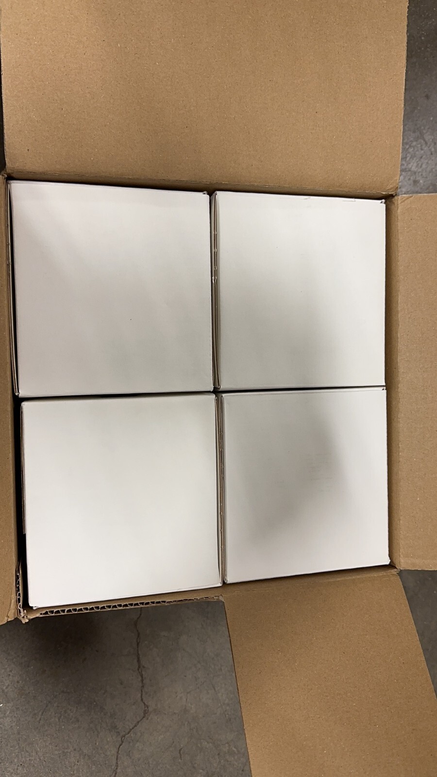 Meissner GB2VTH0.2-3B1 SteriLUX, 0.2um, 50mm filter, 20/Case