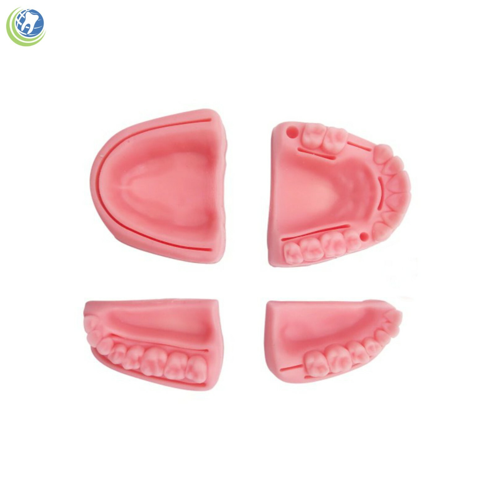 Dental Oral Suture Practice Training Kit 4 Silicon Quadrant Periodental Silicone