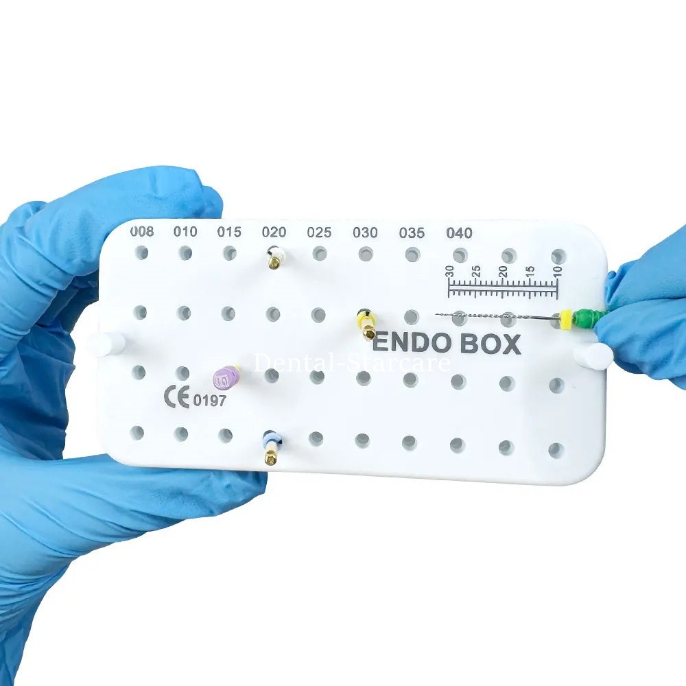 Dental Endo Box With Ruler 40 Holes Files Blocks Disinfection Stand 4 Colors USA