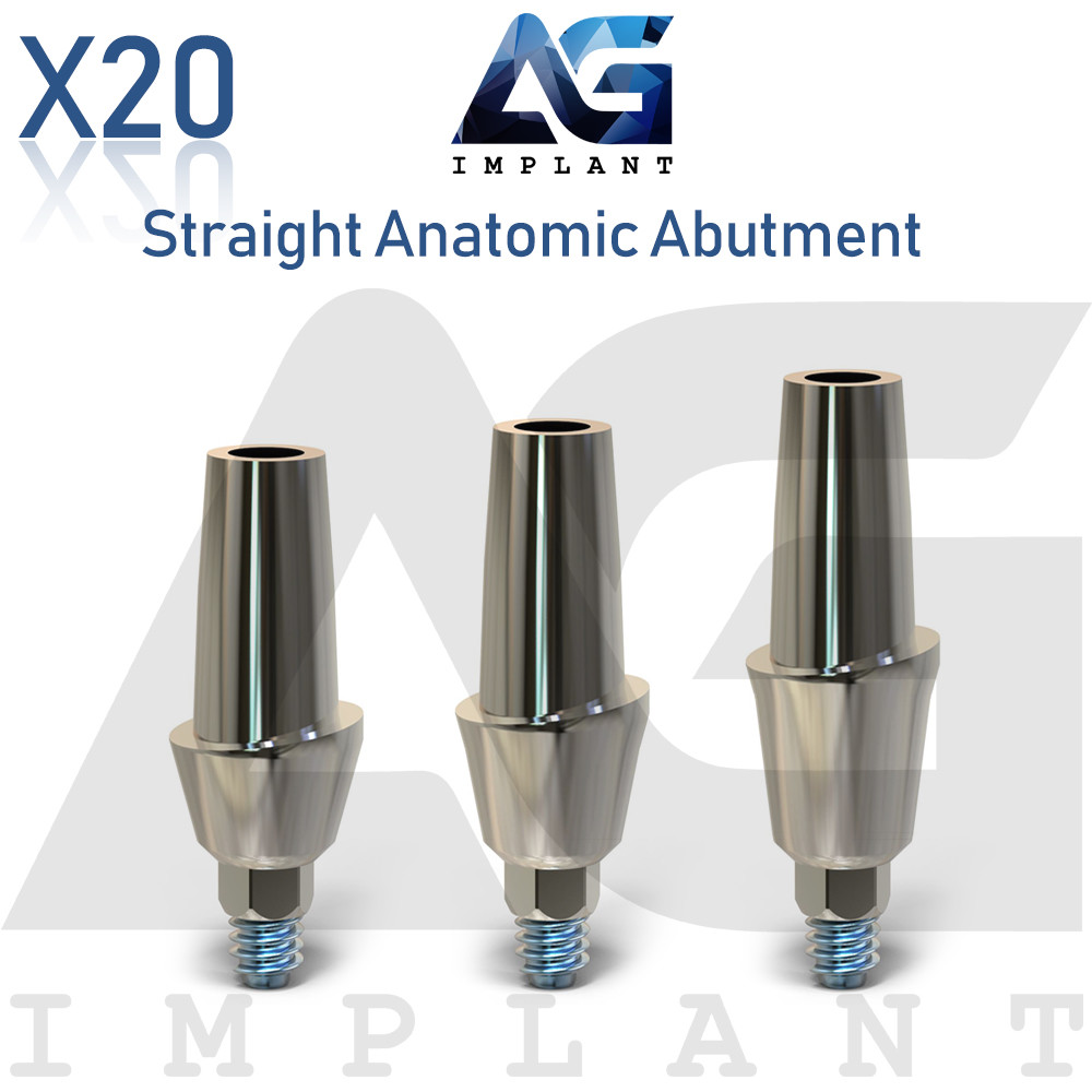 20 Straight Anatomic Aesthetic Titanium For Dental Int Hex 2.42 Connection