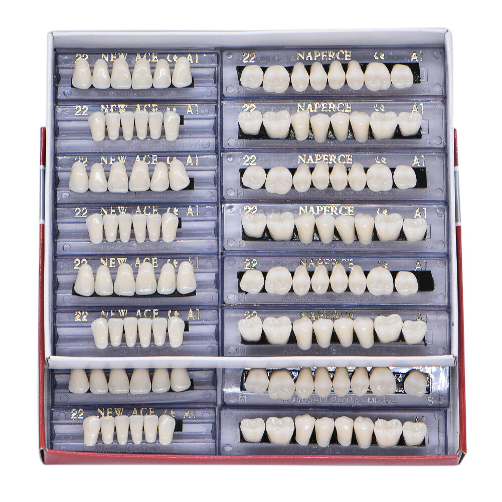 168PCS Acrylic Resin Denture Dental Upper Lower Shade A1 #22 Teeth Set USA