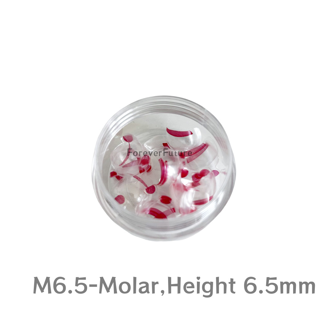 Dental Clear Matrix Anterior/Posterior Teeth Transparent Matrix Fit Bioclear BT