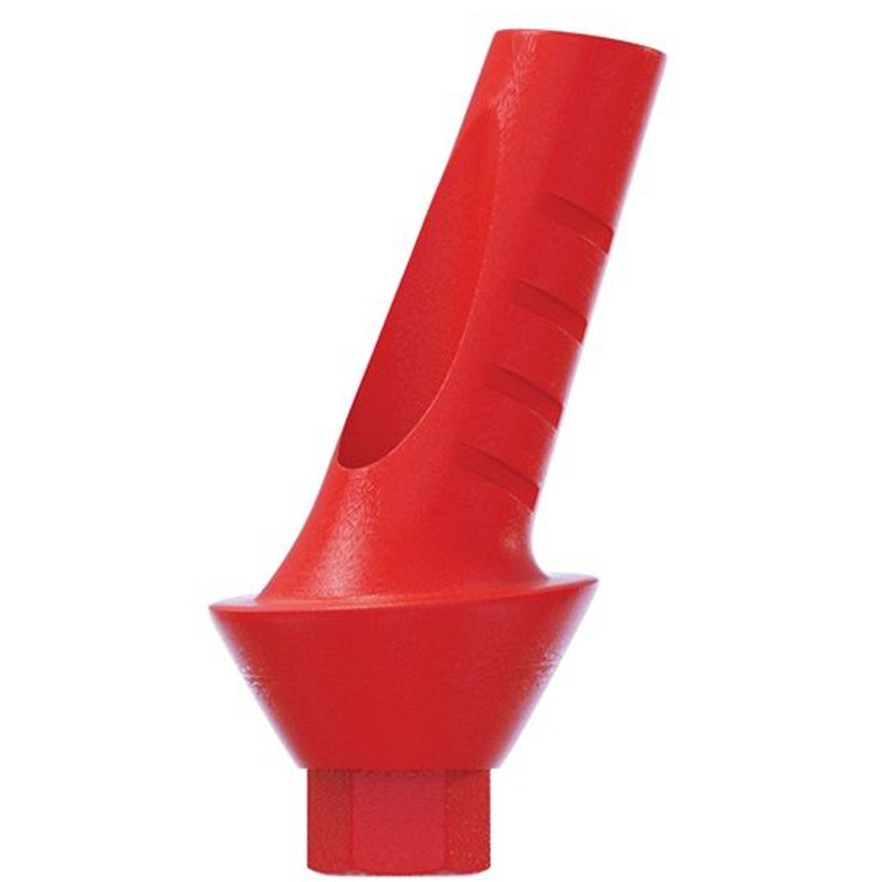 10 Angulated Anatomic Plastic Castable 25° UCLA Prosthetic Int Hex 2.42mm Dental