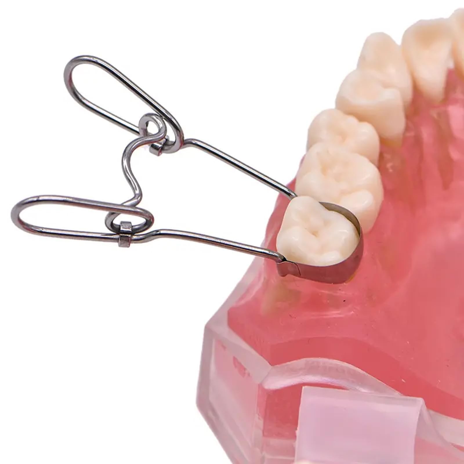 36 Pieces Dental Sectional Matrix Band System with Spring Clip for Dental Res…