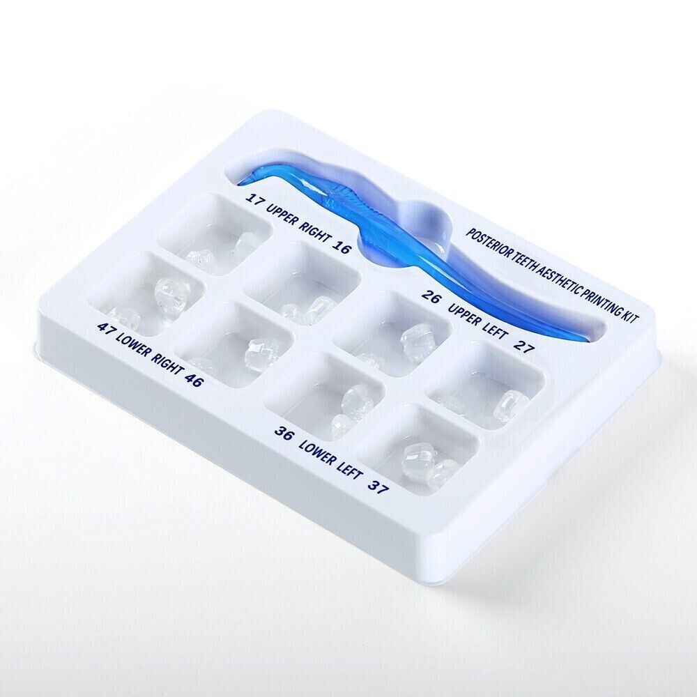 Dental Veneer Mould Composite Resin Anterior Posterior Teeth Molar Restoration