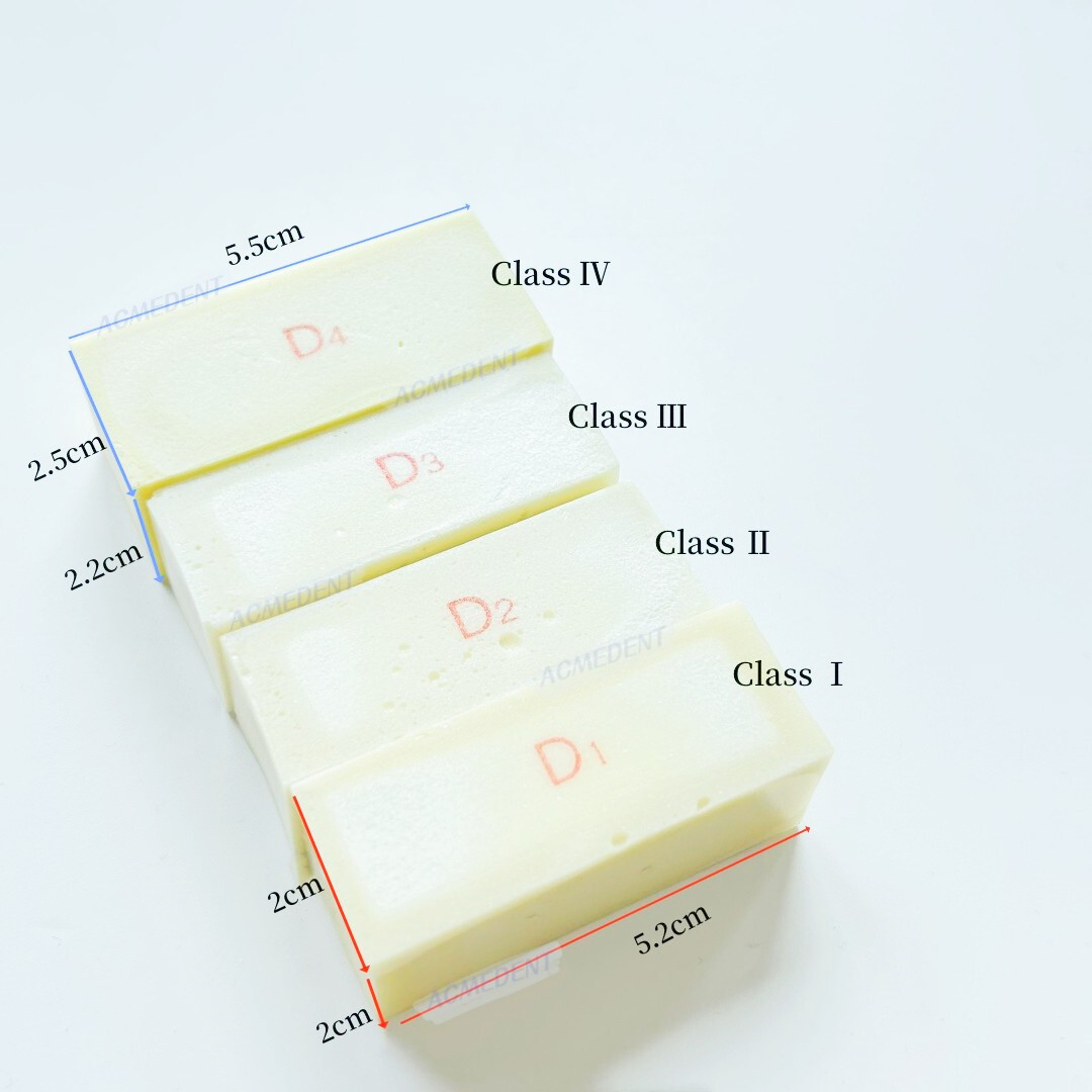 Dental Jaw Replica Blocks Tooth GBR Practice Model Dentist Drills Training Block
