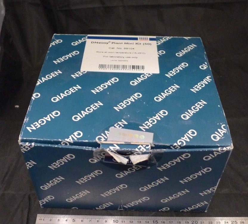 QIAGEN DNeasy Plant Mini Kit, 50 column sets, no buffers #69104