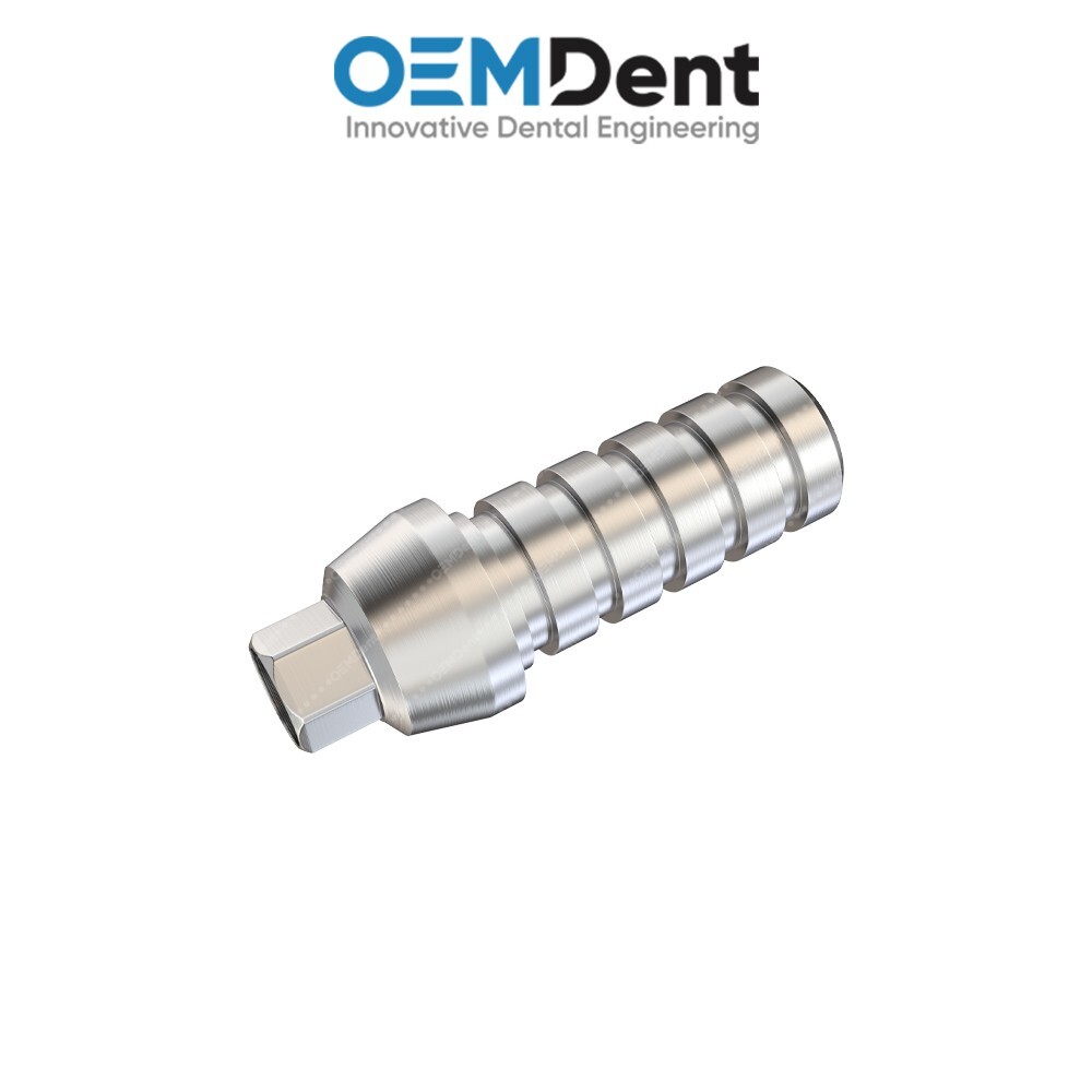 Anti Rotational Titanium Temporary Prosthetic Paltop® Int Hex 2.42mm Compatible