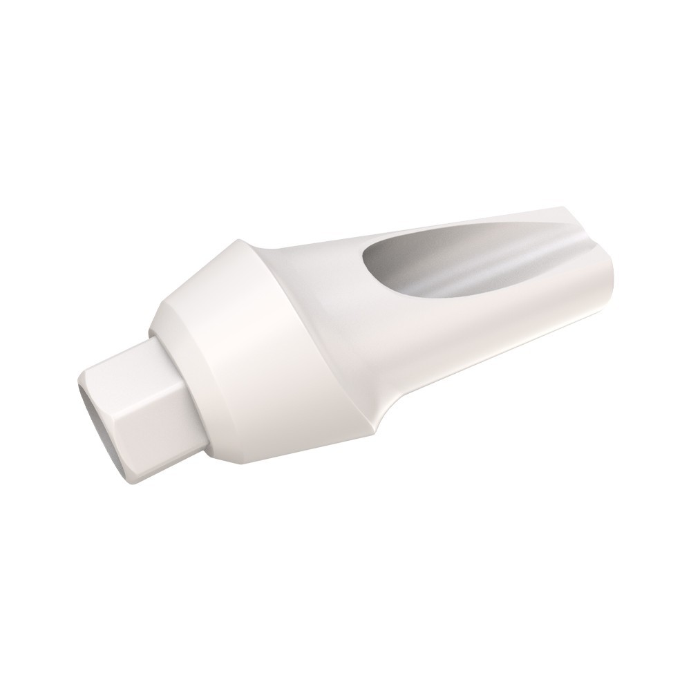 10pcs DSl Angulated Abutments Anatomic Peek With Screws 15° Internal Hex