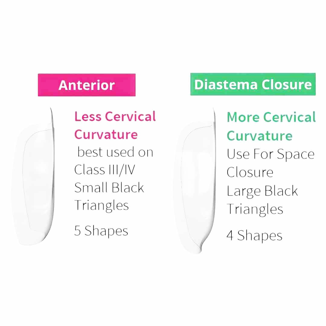 Bioclear Starter Matrix System mini Anterior Kit