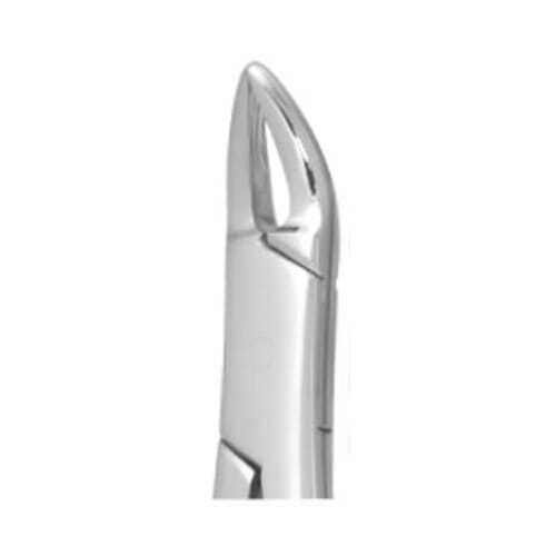 Nordent #150 Upper Universal Surgical Forceps