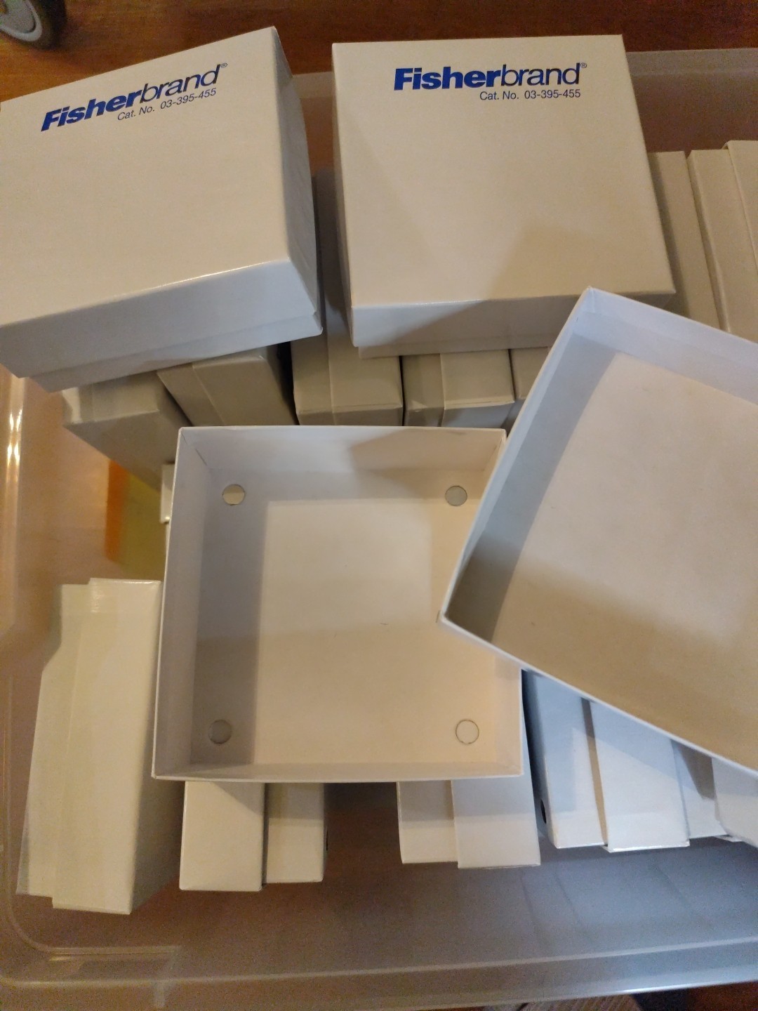 Fisherbrand Cryo/Freezer Box without dividers 03-395-455 One Each