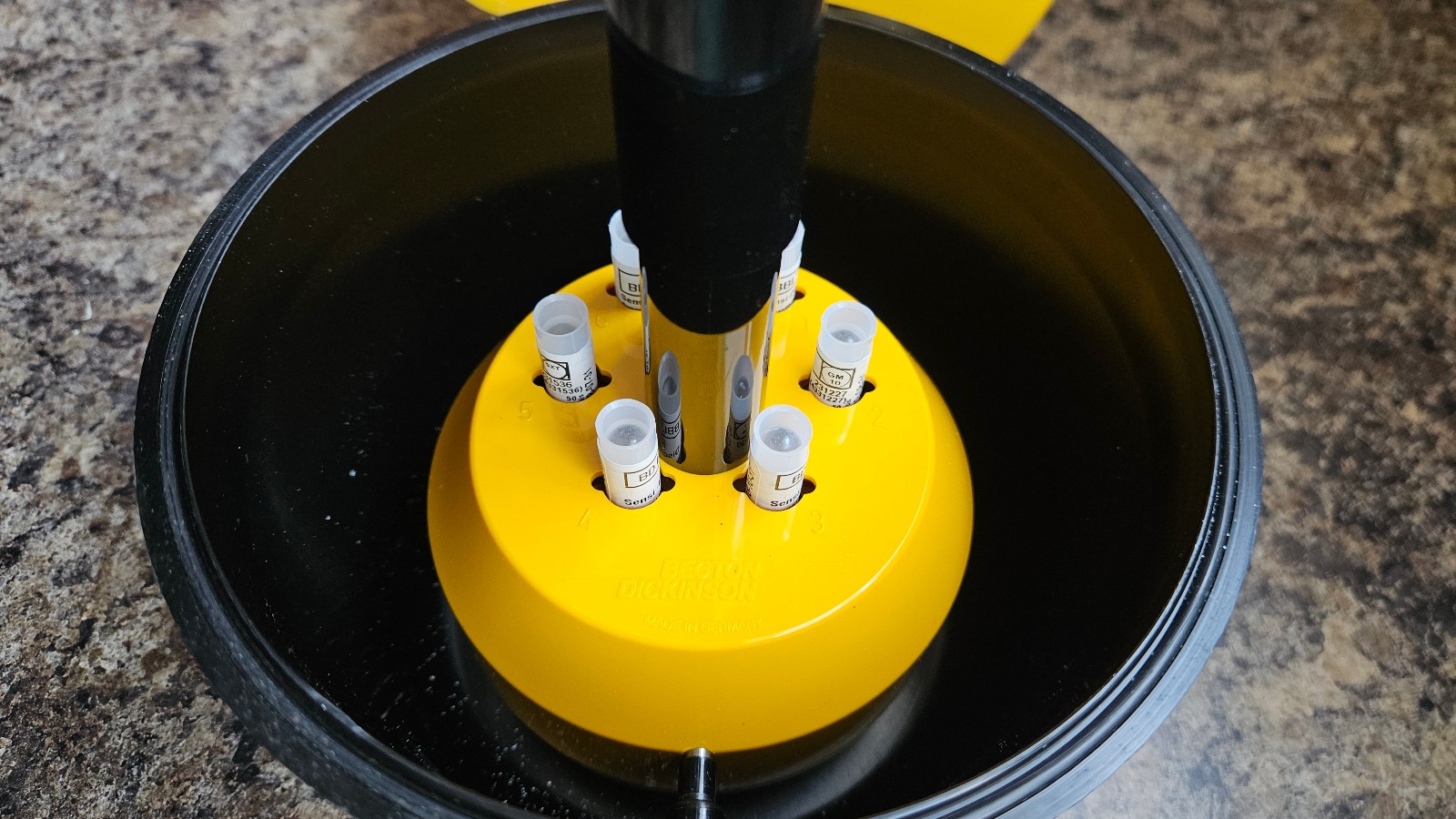 Becton Dickinson Kirby Bauer disc sensitivity applicator Culture Tamping 6 Place