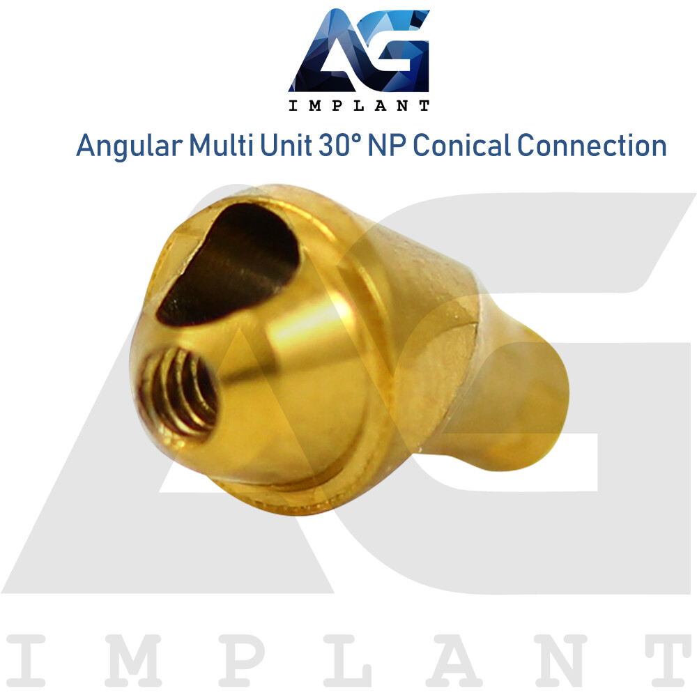 10 Angular Multi Unit Abutment 30° Conical Connection NP Plastic Set