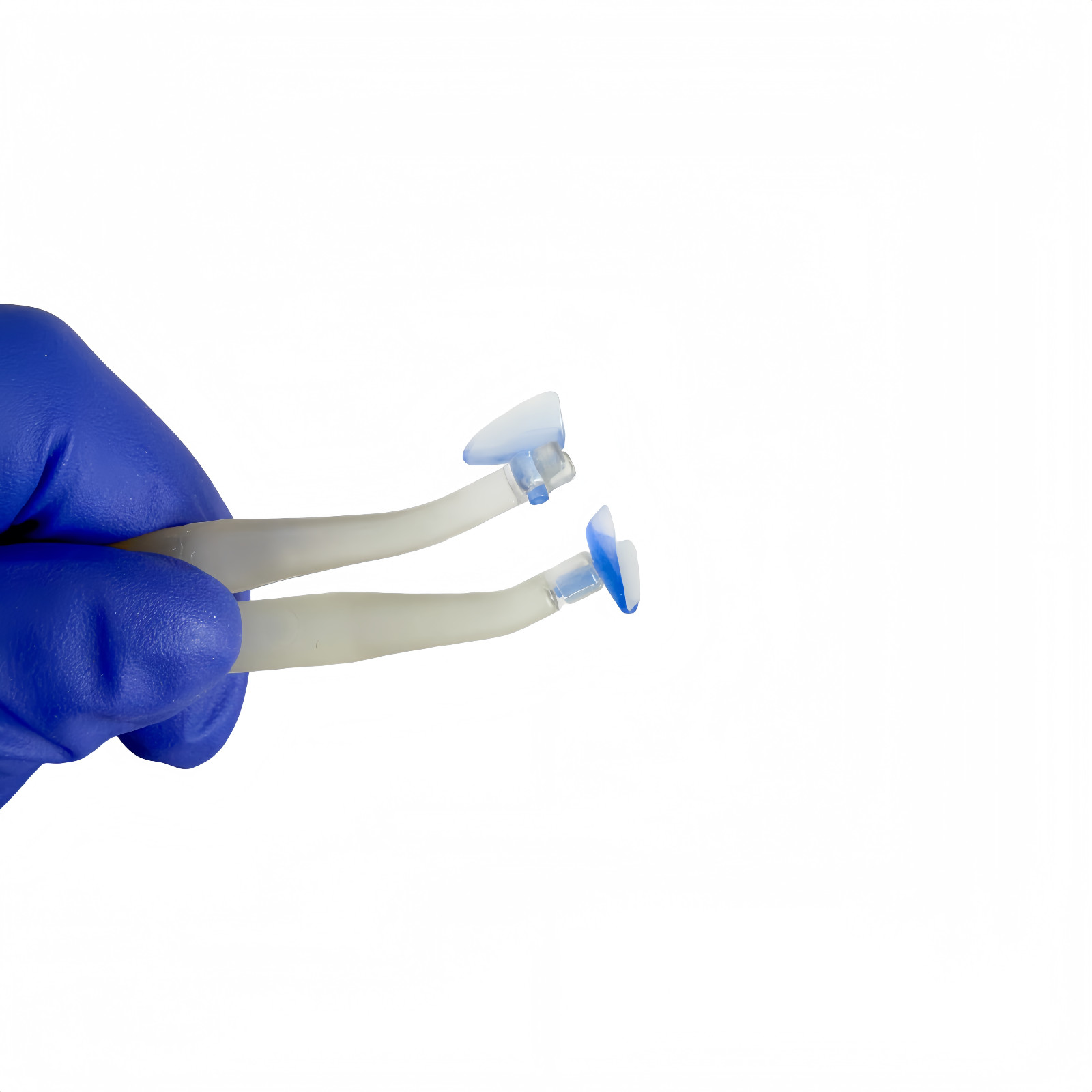 Dental Blue Transparent Clear Cervical Matrices Kit for Composite Restoration
