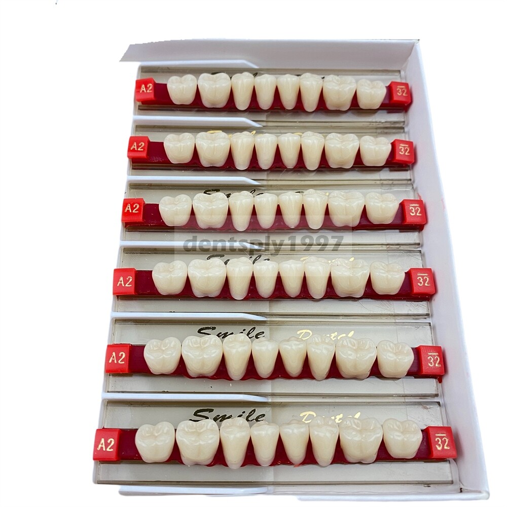 12sets Dental Acrylic Resin Denture Two Layer Posterior False Teeth Upper/Lower