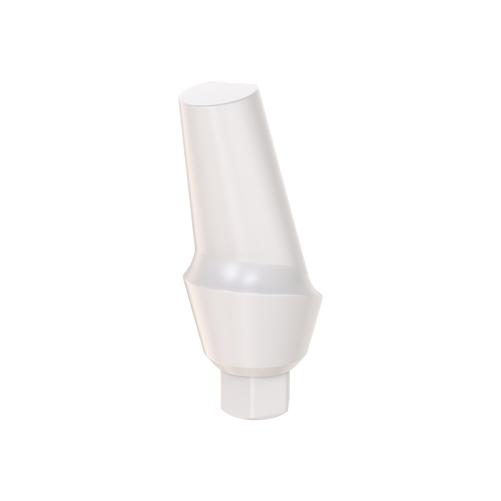 10pcs DSl Angulated Abutments Anatomic Peek With Screws 15° Internal Hex