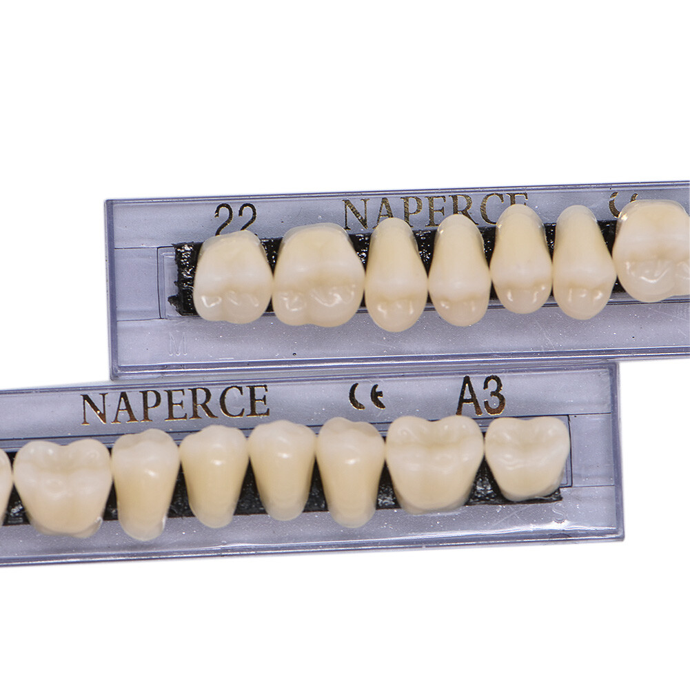 336Pc Dental Acrylic Resin Denture 22#A3 Full Set Teeth Upper Lower Shade Tooth