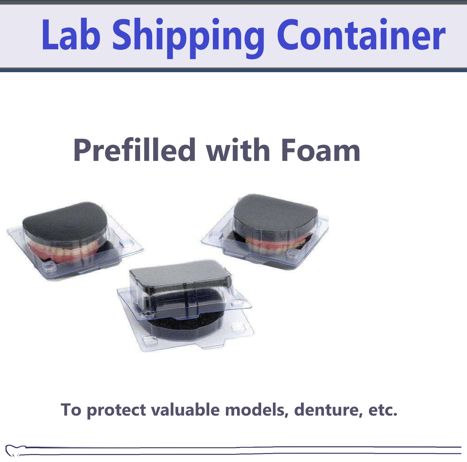 Dental Model & Denture Box, Clear Plastic w/Sponge, Ortho Model Shipping Box USA