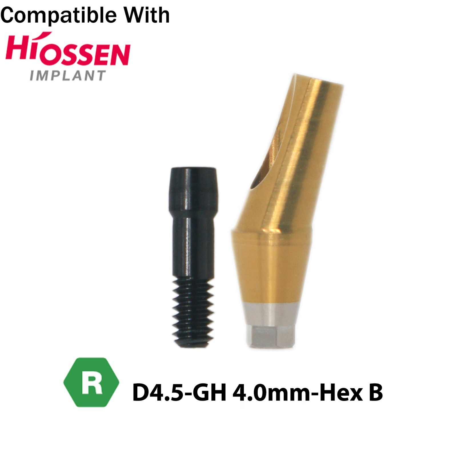 Dental 17° Angled Abutment Anatomic Fits Hiossen Osstem TS Hex Regular Platform