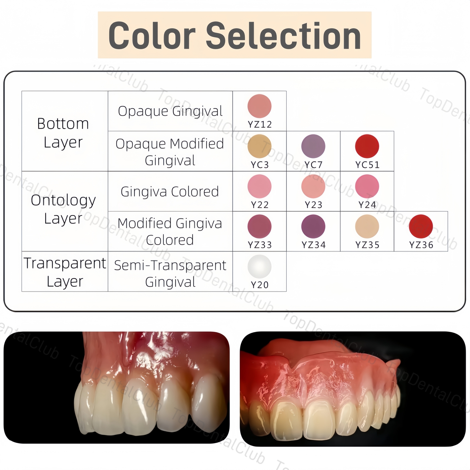 USA STOCK Dental Gingiva Aesthetic Composite Resin Pink 3D Gum A-D Shade Guide